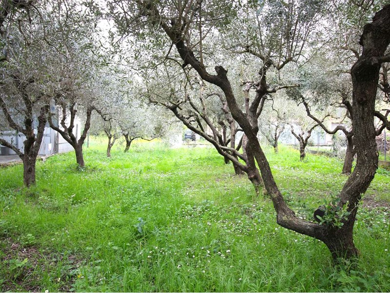 Casa Semi Indipendente in Vendita a Vicopisano, 240'000€, 276 m², con Box