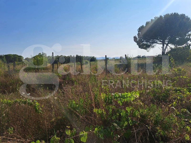 Terreno agricolo in Vendita a Ponsacco, 85'000€, 10000 m²