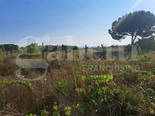 Terreno agricolo in Vendita a Ponsacco, 85'000€, 10000 m²