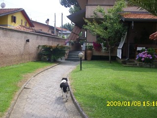 Villa in Vendita a Massa, 1'200'000&euro;, 180 m²