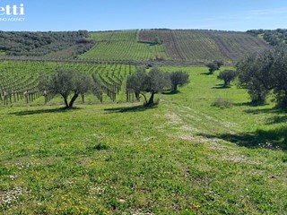 Terreno edificabile in Vendita a Lanciano, 25'000€, 7640 m²