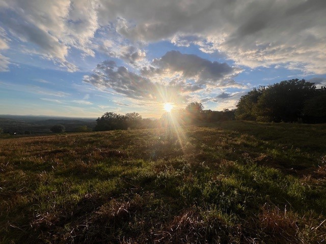 Attività commerciale in Vendita a Narni, 225'000&euro;, 