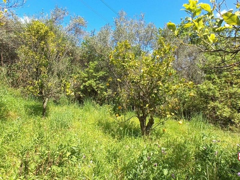 Terreno edificabile in Vendita a Barcellona Pozzo di Gotto, 8'700€, 3000 m²
