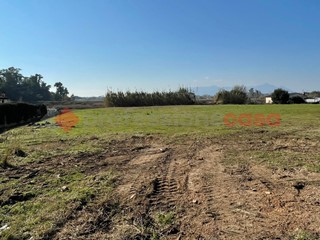Terreno agricolo in Vendita a Terracina, 98'000€, 8000 m²