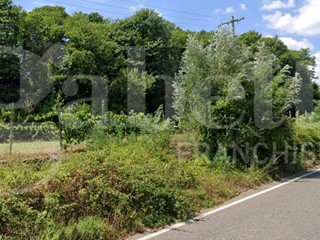 Terreno agricolo in Vendita a Pontelatone, 99'000€, 16000 m²