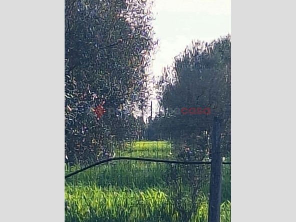 Terreno agricolo in Vendita a Grosseto, 55'000€, 2000 m²