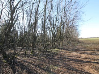 Terreno agricolo in Vendita a Legnano, 18'000€, 1020 m²