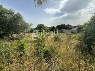 Terreno edificabile in Vendita a Telti, 60'000€, 779 m²