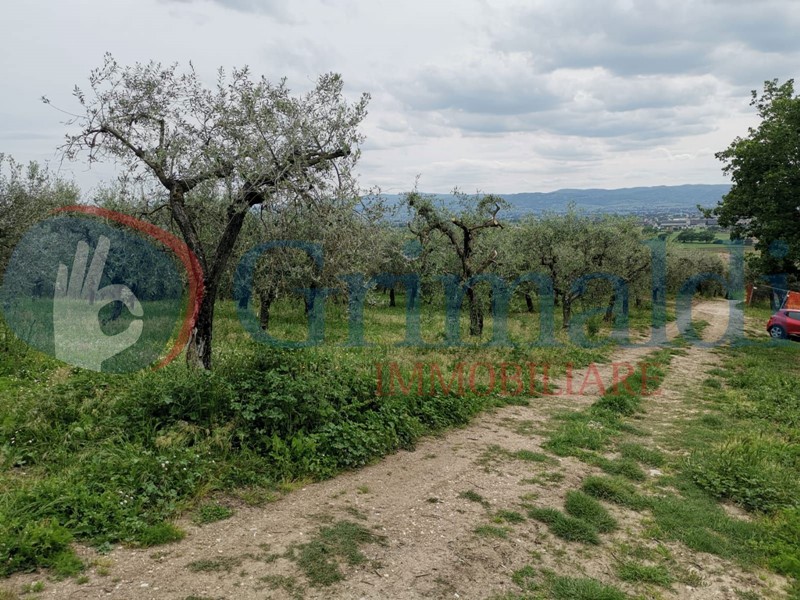 Terreno agricolo in Vendita a Assisi, 100'000€, 14000 m²