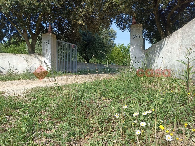 Trullo in Vendita a Martina Franca, 55'000€, 60 m²