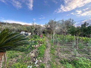 Casa Indipendente in Vendita a Barcellona Pozzo di Gotto, 70'000€, 148 m²