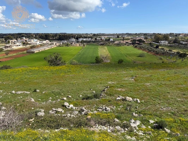 Terreno edificabile in Vendita a Alessano, 970'000€, 48600 m²