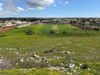 Terreno edificabile in Vendita a Alessano, 970'000€, 48600 m²