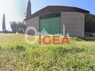 Casale in Vendita a Monteroni d'Arbia, zona Ville di Corsano, 90'000€, 240 m²