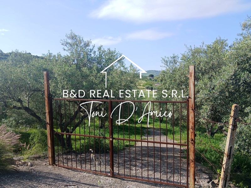 Terreno agricolo in Vendita a Bagheria, 39'000€, 5400 m²