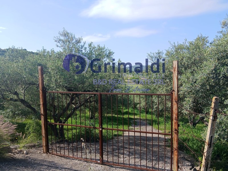 Terreno agricolo in Vendita a Bagheria, 34'000&euro;, 5400 m²