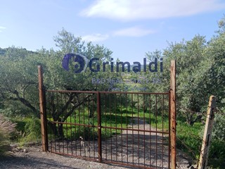 Terreno agricolo in Vendita a Bagheria, 34'000&euro;, 5400 m²