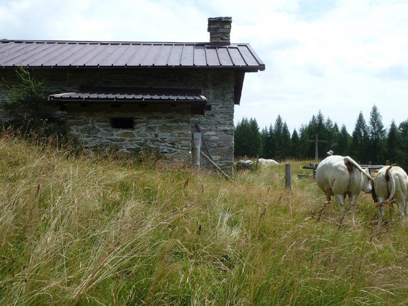 Trullo in Vendita a Varzo, 149'000€, 50 m², arredato