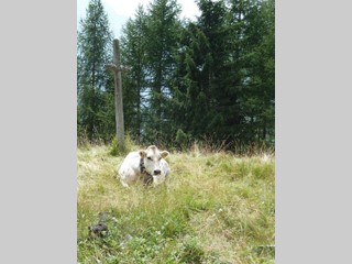 Trullo in Vendita a Varzo, 149'000€, 50 m², arredato