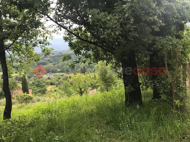 Terreno agricolo in Affitto a Tivoli, 250&euro;, 3500 m²