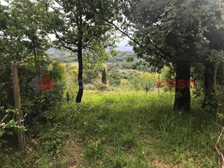 Terreno agricolo in Affitto a Tivoli, 250€, 3500 m²