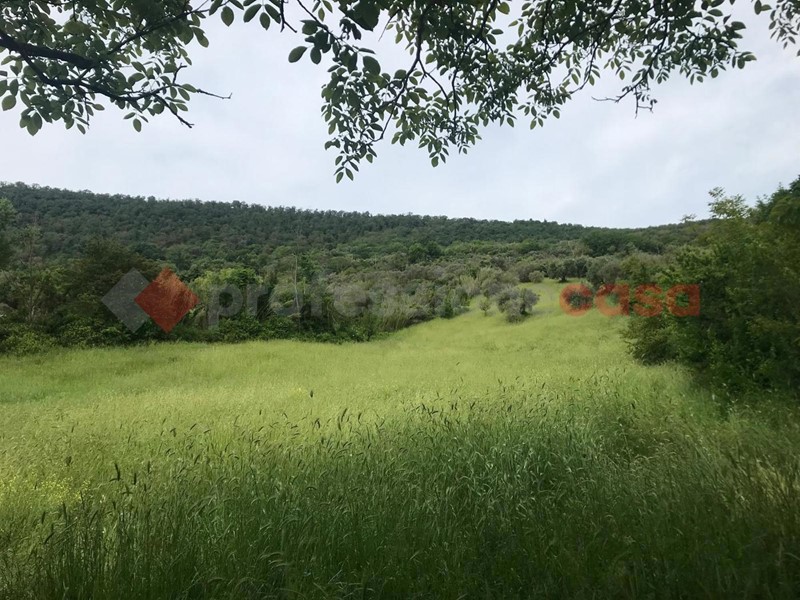 Terreno agricolo in Affitto a Tivoli, 300&euro;, 10000 m²