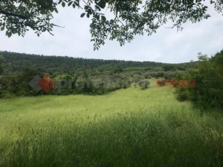 Terreno agricolo in Affitto a Tivoli, 300€, 10000 m²