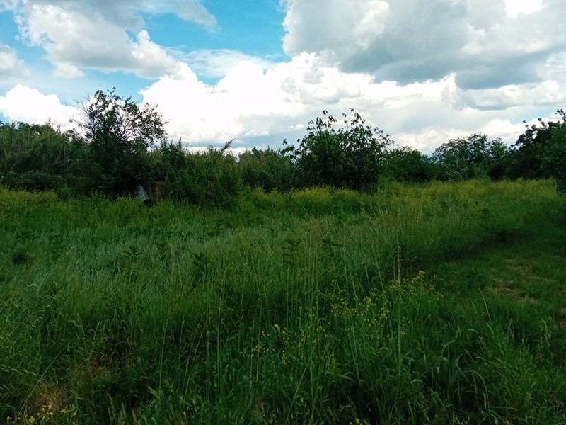 Terreno edificabile in Vendita a Civita Castellana, 23'000€, 1425 m²