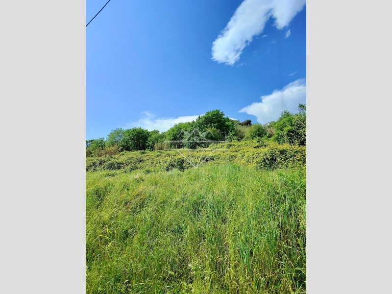 Terreno agricolo in Vendita a Carrara, 40'000€, 1000 m²