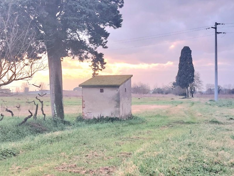 Terreno agricolo in Vendita a Santa Maria a Monte, zona Ponticelli, 20'000€, 11800 m²