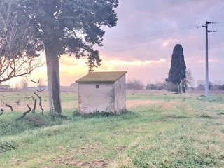 Terreno agricolo in Vendita a Santa Maria a Monte, zona Ponticelli, 20'000€, 11800 m²