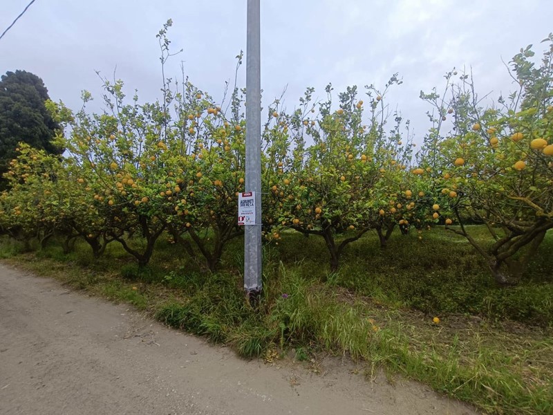 Terreno agricolo in Vendita a Barcellona Pozzo di Gotto, 25'000€, 2960 m²
