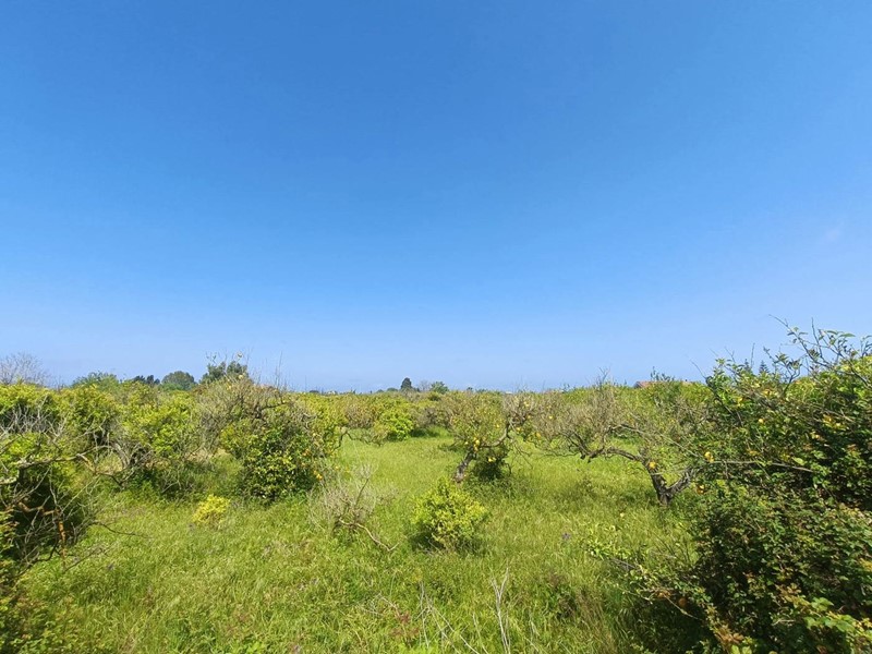 Terreno agricolo in Vendita a Barcellona Pozzo di Gotto, 60'000€, 3720 m²
