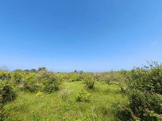 Terreno agricolo in Vendita a Barcellona Pozzo di Gotto, 60'000€, 3720 m²