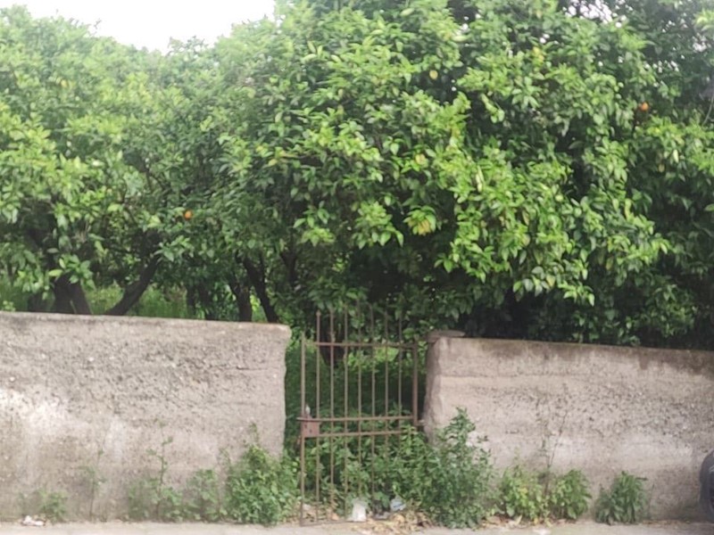 Terreno agricolo in Vendita a Barcellona Pozzo di Gotto, 18'000€, 580 m²