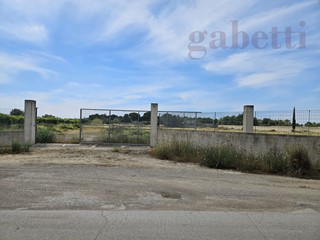 Terreno agricolo in Vendita a Copertino, 120'000€, 13105 m²