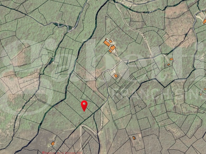 Terreno agricolo in Vendita a Alvignano, 12'000€, 5842 m²