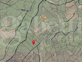 Terreno agricolo in Vendita a Alvignano, 12'000€, 5842 m²