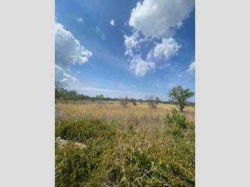Terreno agricolo in Vendita a Sannicola, 13'000€, 7150 m²
