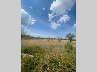 Terreno agricolo in Vendita a Sannicola, 13'000€, 7150 m²