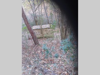 Terreno agricolo in Vendita a Capannori, zona Vorno, 44'000€, 18000 m²