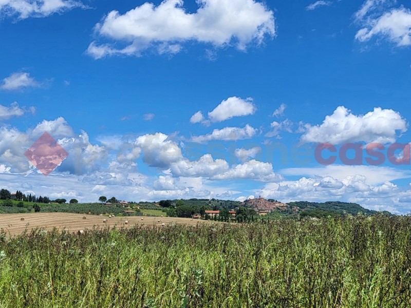 Terreno agricolo in Vendita a Bibbona, 112'000€, 22340 m²