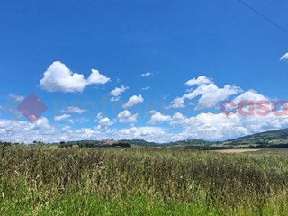 Terreno agricolo in Vendita a Bibbona, 112'000€, 22340 m²