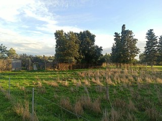 Terreno agricolo in Vendita a Oristano, 15'000&euro;, 750 m²