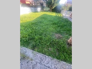 Villa bifamiliare in Affitto a Sarzana, 1'000€, 130 m², arredato