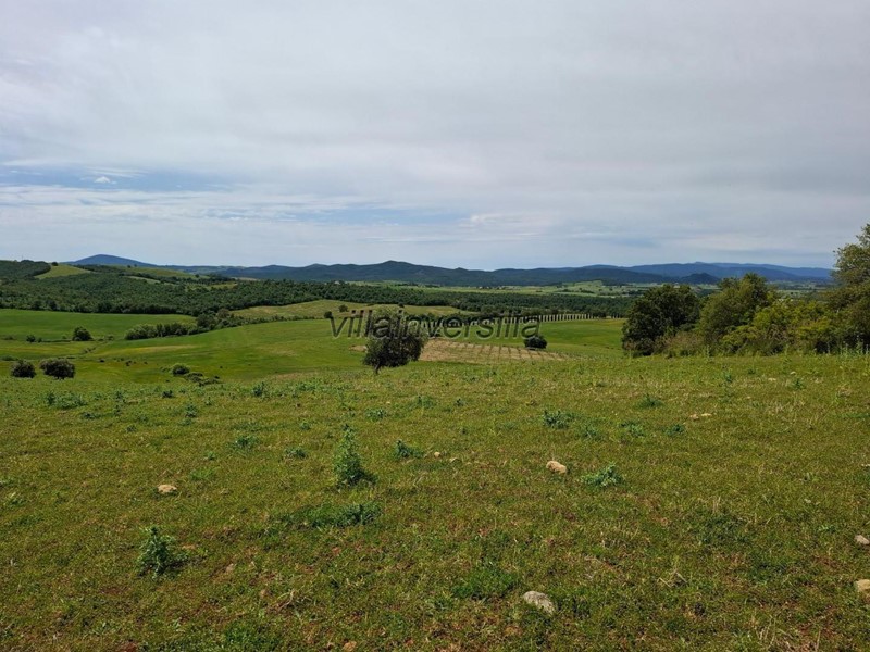 Terreno agricolo in Vendita a Manciano, zona Marsiliana, 1'600'000€, 700000 m²