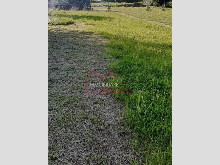 Terreno agricolo in Vendita a Camaiore, 35'000&euro;, 2500 m²