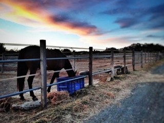 Attività commerciale in Vendita a Fucecchio, 380'000€, 1 m²
