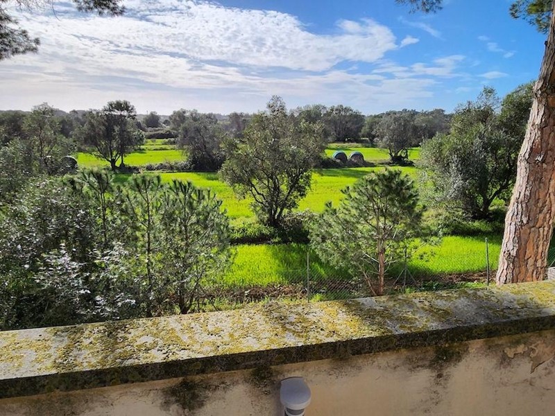 Villa in Vendita a Cecina, 450'000€, 300 m², arredato