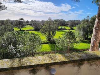 Villa in Vendita a Cecina, 450'000€, 300 m², arredato